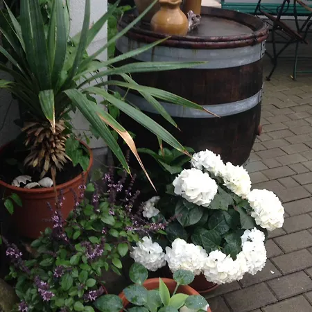 Ferienhaeusel Am Malerweg Mit Terrasse